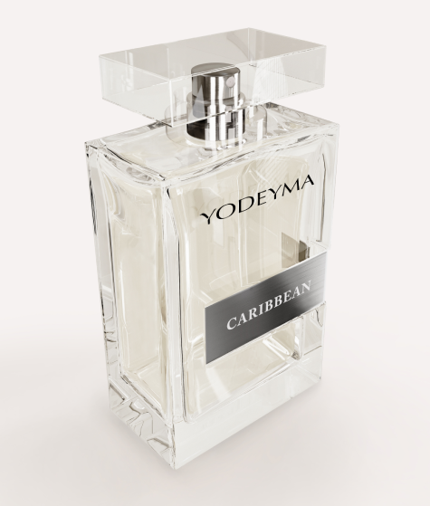 Test 02 Perfume 100 ml DAURO FOR HER