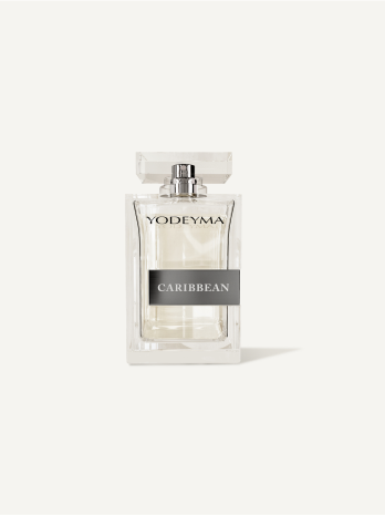 Perfume 100 ml IRIS YODEYMA (test)