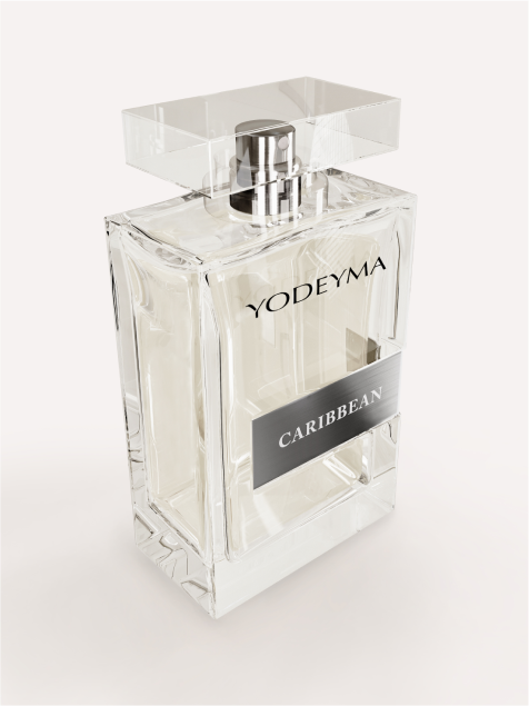 Test 14 Perfume 100 ml DAURO FOR HER YODEYMA