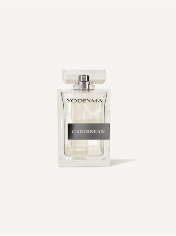 Test 16 Perfume 100 ml