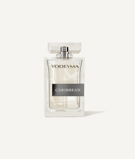 Test 02 Perfume 100 ml DAURO FOR HER